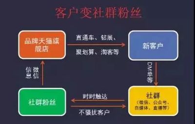 社群淘客 從淘寶天貓出發(fā)，玩轉(zhuǎn)社交電商的實戰(zhàn)指南